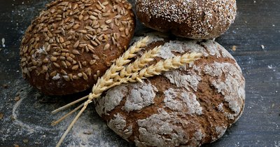 Celiakia czy alergia na gluten - kluczowe różnice które musisz znać
